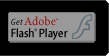点击至Adobe官方网站更新FLASH插件